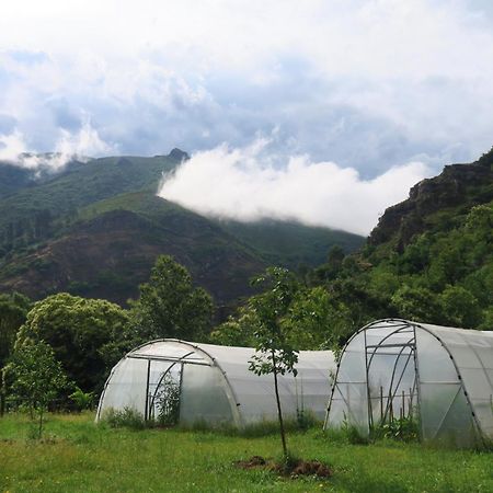 Casa Rural Chao De Castro Riodeporcos Ngoại thất bức ảnh